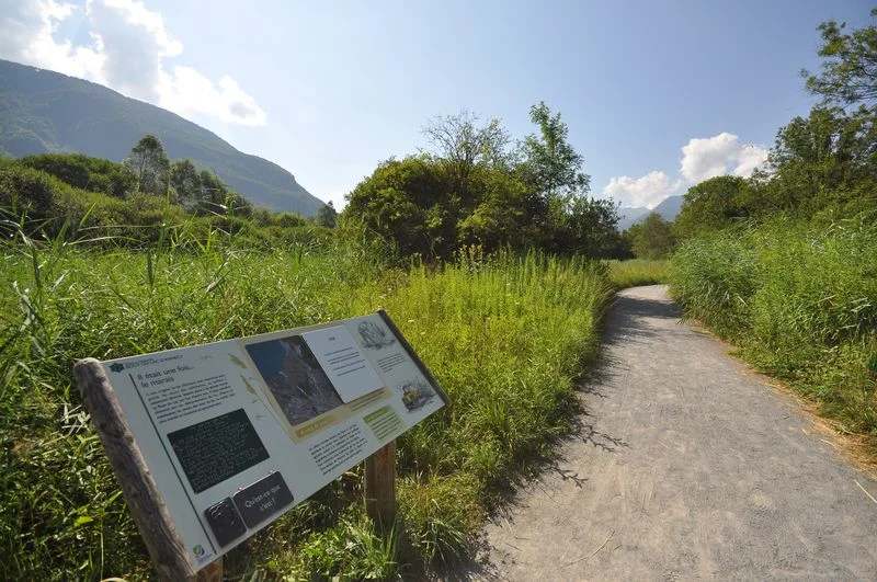 Randonnée Réserve du Bout du Lac d'Annecy · Doussard
