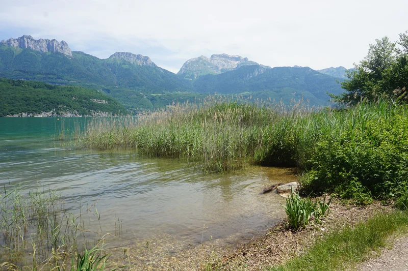 Randonnée Le sentier des Roselières · Saint-Jorioz