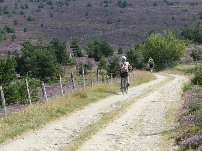 VTT Tour du Finiels - VTT n°14 · Cubières