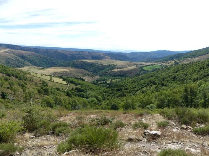 VTT Bois de Lozeret - VTT n°15 · Mont Lozère et Goulet