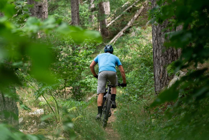 VTT Le Roc de la Gardette - VTT n°25 · Lanuéjols