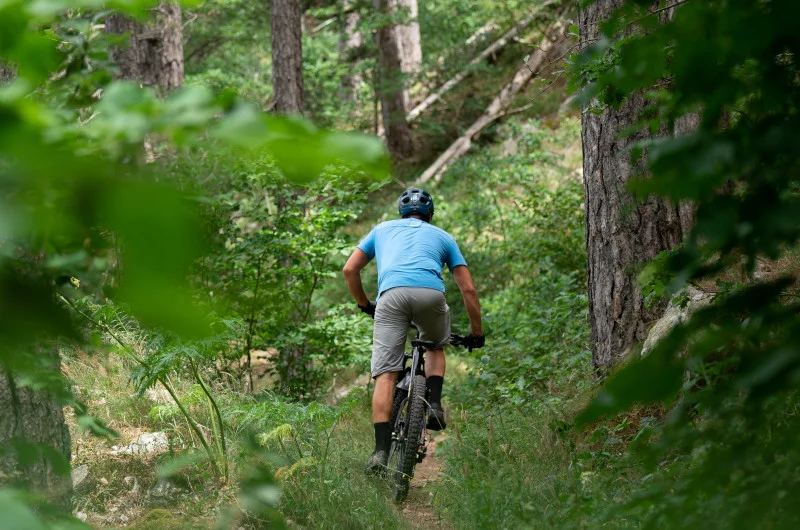 VTT Sources de l'Allier - VTT n°29 · Mont Lozère et Goulet