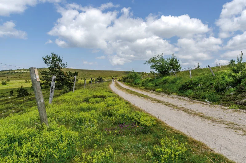 VTT Col de Finiels  - VTT n°12 · Mont Lozère et Goulet