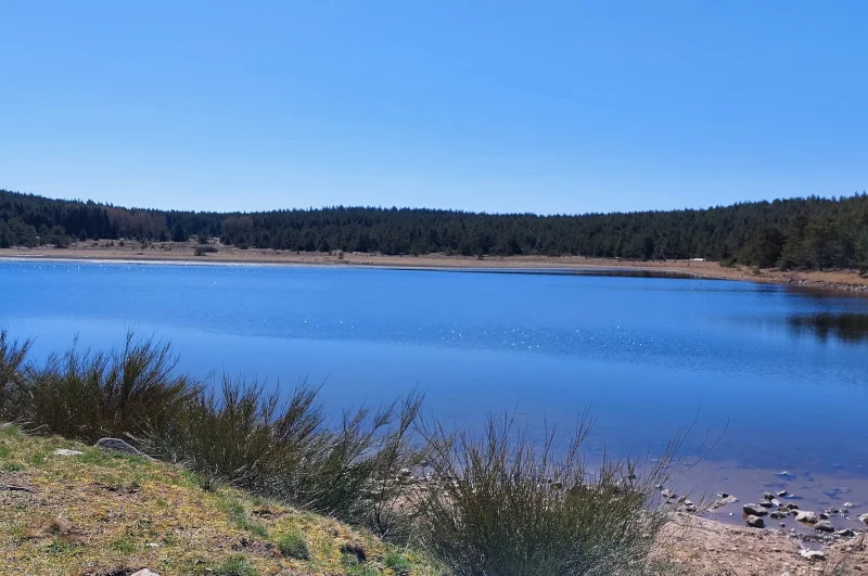 VTT Du Finiels à l'étang de Barrandon - VTT N°16 · Cubières
