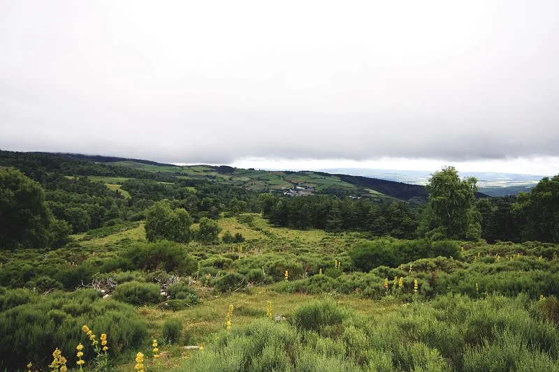 Randonnée Auriac - Oultet · Mont Lozère et Goulet