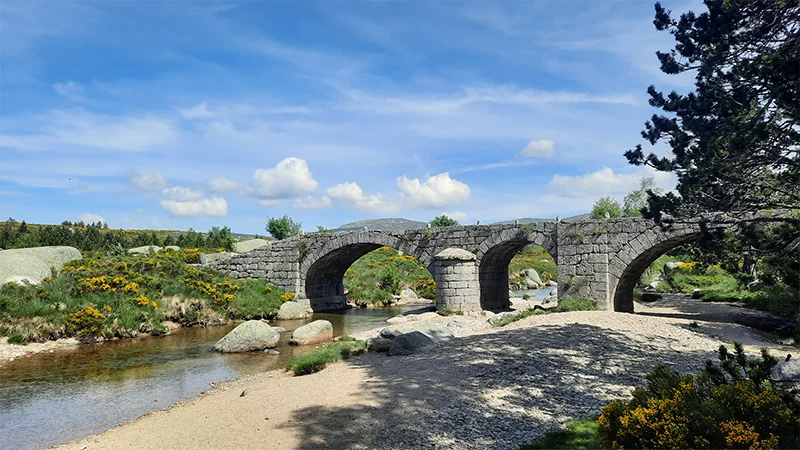Randonnée Le Pont du Tarn par la Croix de Berthel · Pont de Montvert - Sud Mont Lozère
