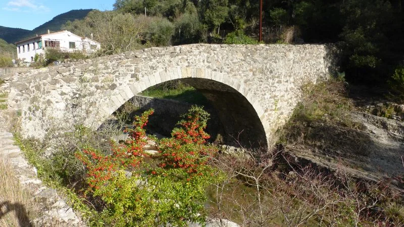 Randonnée Les Puechs · Mialet