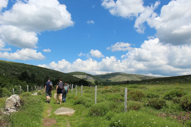 Randonnée Gasbiel · Pont de Montvert - Sud Mont Lozère