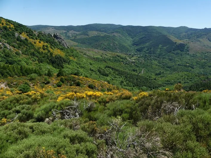 Randonnée La crête du Suquet · Dourbies
