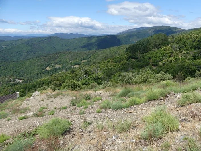 Randonnée Tras Lou Serre · Ventalon en Cévennes