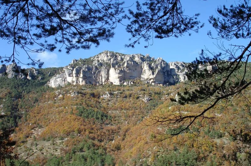 Randonnée Voyage entre Gorges et Causse, au pays des vautours · Massegros Causses Gorges