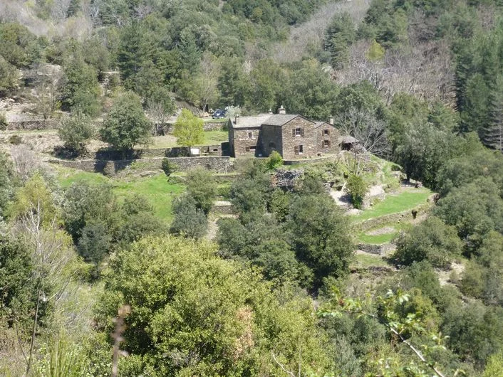 Randonnée Le mulet Grisou · Saint-André-de-Lancize