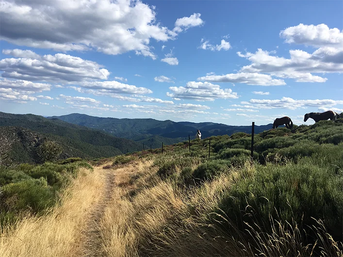 Randonnée Le moulin · Ventalon en Cévennes