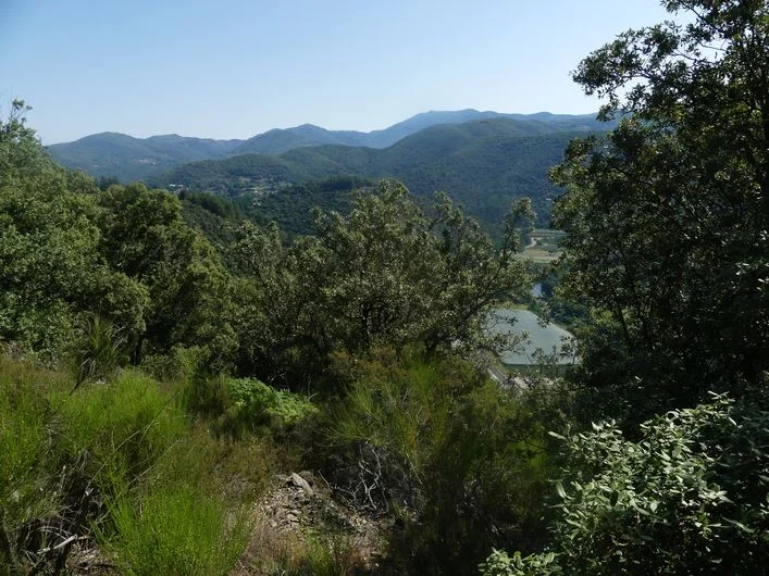 Randonnée Camias · Pont-d'Hérault