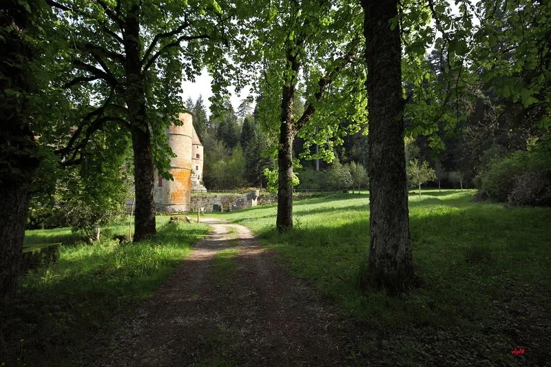Randonnée Château de Roquedols · Meyrueis