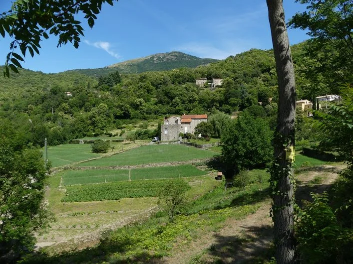 Randonnée Col de Peyrefiche · Mandagout