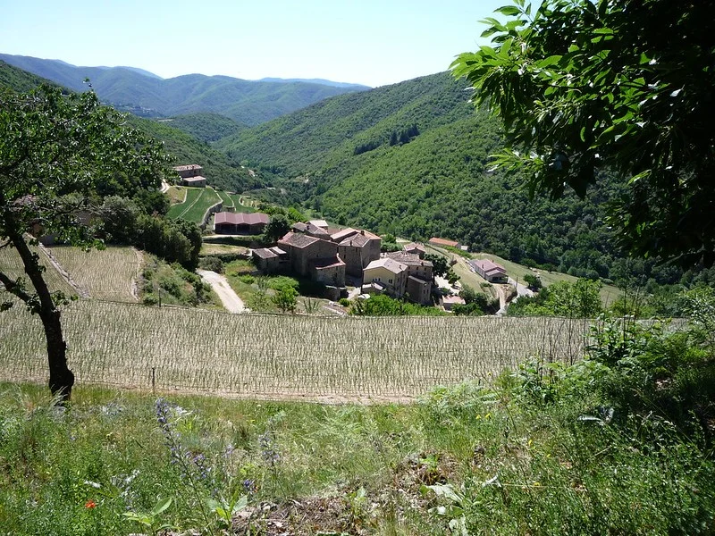 Randonnée Taleyrac · Val-d'Aigoual