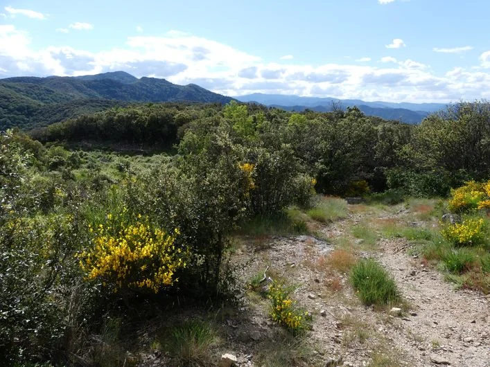 Randonnée Le Briontet · Soudorgues