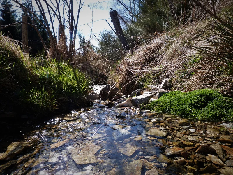 Randonnée Sources du Lot et Goulet · Mont Lozère et Goulet