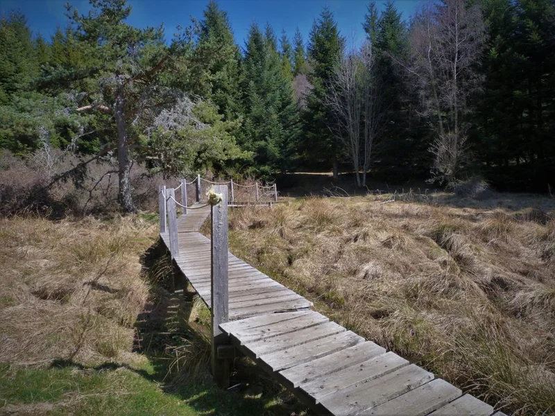 Randonnée Sources du Lot · Villes Hautes