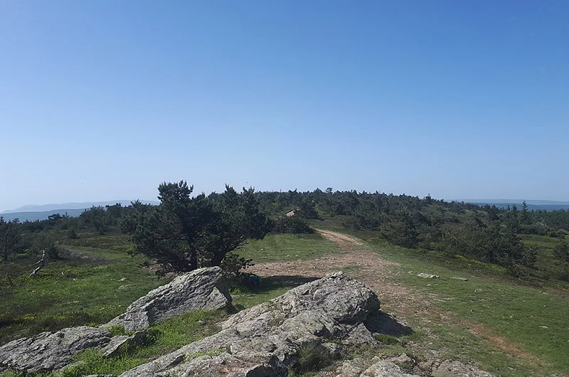 Randonnée Sources du Chassezac · Saint-Frézal-d'Albuges