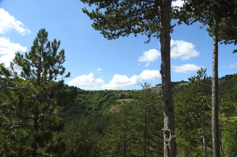 Randonnée Causse de Sauveterre · Saint-Étienne-du-Valdonnez