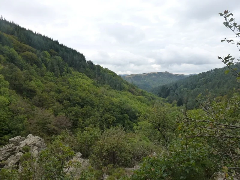 Randonnée L'arborétum de la Vis · Alzon