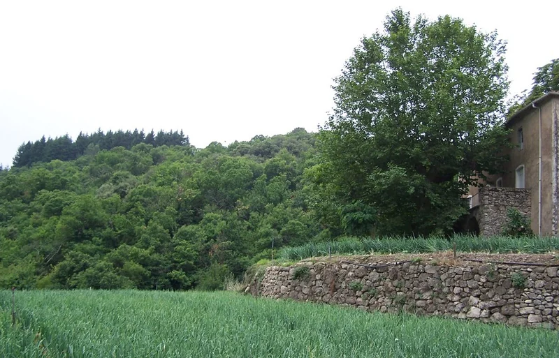 Randonnée L'Arboux · Mandagout
