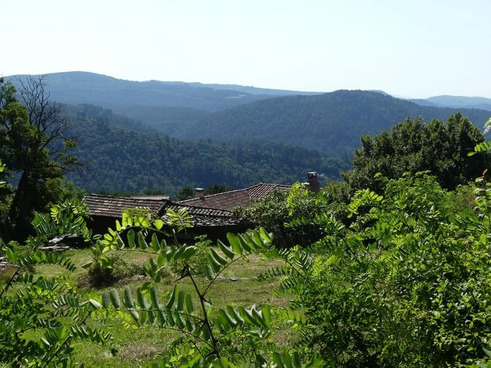 Randonnée Les Pins · Saint-Julien-des-Points