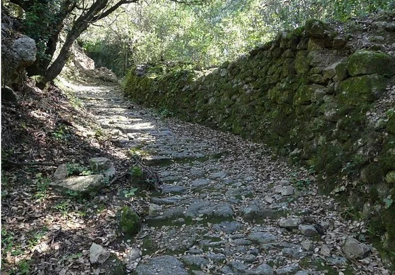 Randonnée Le col de la Tribale et du Devinayre · Saint-Martial