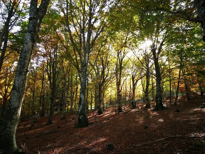 Randonnée Col de Salidès par Saint-André de Valborgne · Saint-André-de-Valborgne