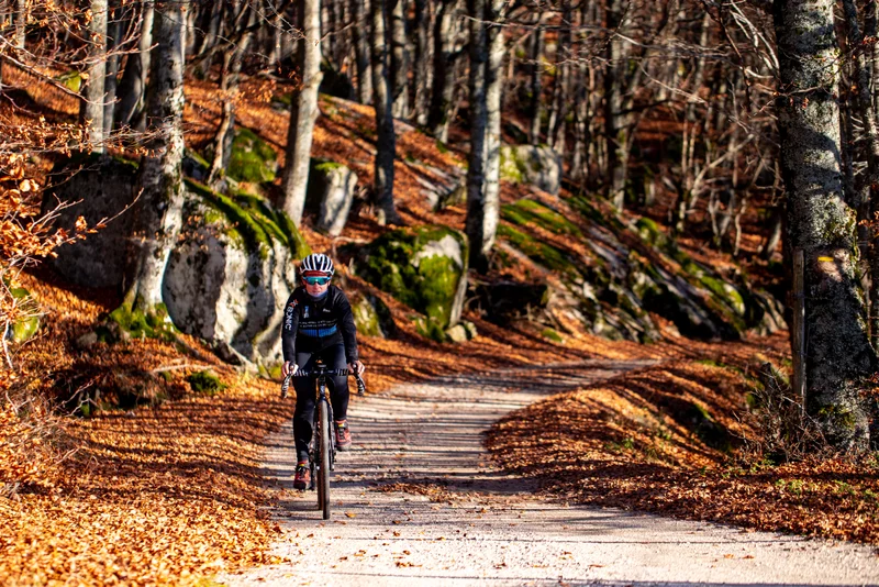Vélo de route Les Crêtes du Goulet en Gravel · Villefort