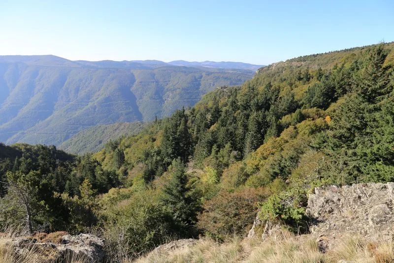 Randonnée Arboretum de l'Hort de Dieu - court · Val-d'Aigoual