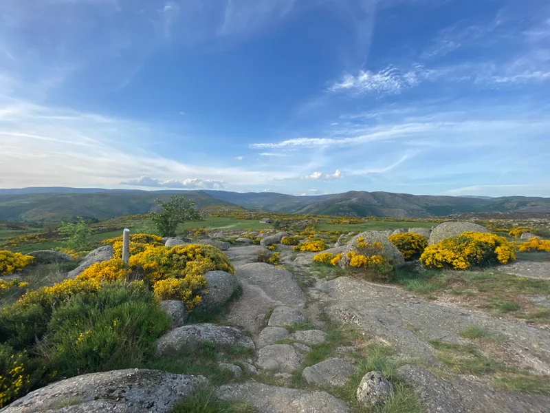 Randonnée La cham de l'Hermet · Pont de Montvert - Sud Mont Lozère