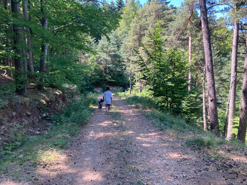 Randonnée Sentier du Mas de l'Ayre · Malons-et-Elze