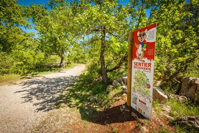Randonnée Sentier de découverte de la Cocalière · Courry