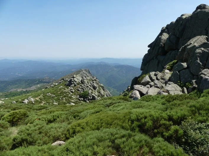 Trail Rocher du Trenze et Bayardet - Trail n°20 · Vialas