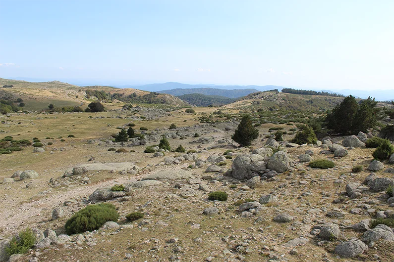Trail Vallée de Gourdouze - Trail n°21 · Vialas