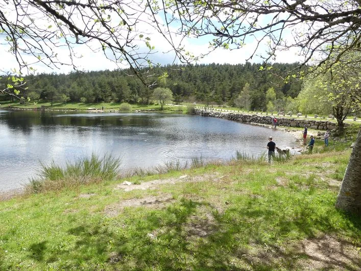 Trail Etang de Barrandon - Trail n°12 · Saint-Étienne-du-Valdonnez
