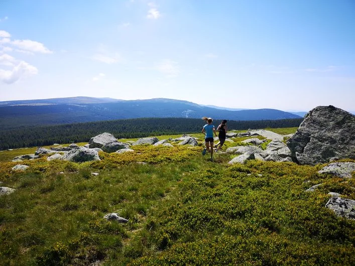 Trail Villages Nord Mont Lozère - Trail n°16 · Cubières