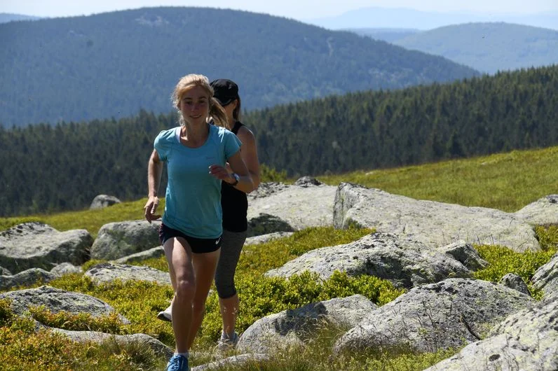 Trail Sommet de Finiels et Pelouse (Variante courte) - Trail n°17v · Mont Lozère et Goulet