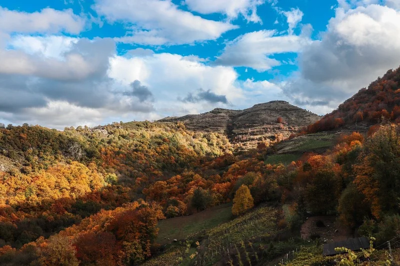 Trail Petit tour du Causse Noir - Trail n°23 · Meyrueis