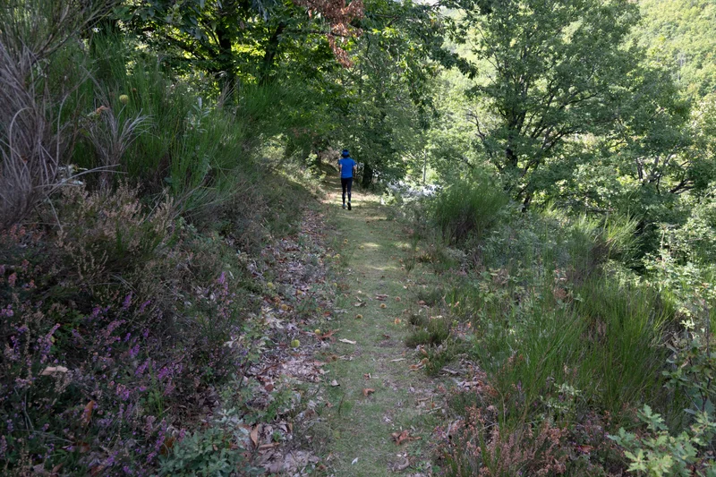 Trail Ablatats- Trail n°31 · Rousses