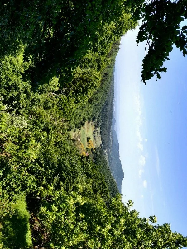 Vélo de route Ascension du mont Aigoual par la voie de découverte · Meyrueis