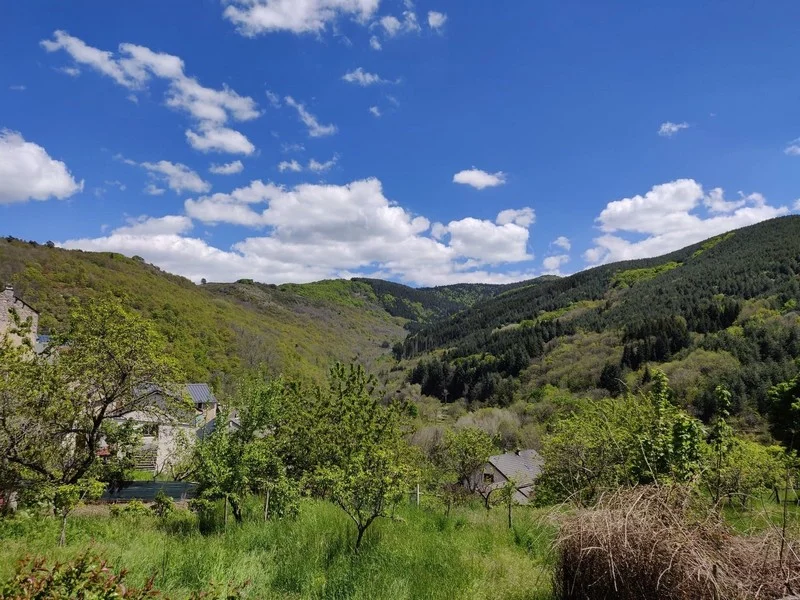Vélo de route Les Gorges de la Dourbie · Dourbies