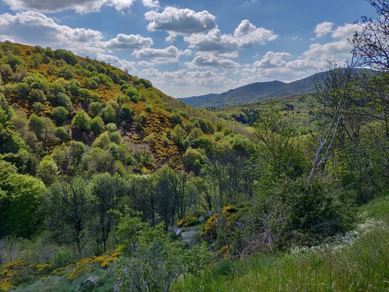 Vélo de route Versant océanique de l'Aigoual · L'Espérou