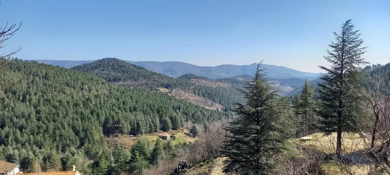 Vélo de route Vallée de la Cèze · Génolhac