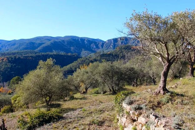 Randonnée BELGENTIER - Barre de Cuers · Belgentier