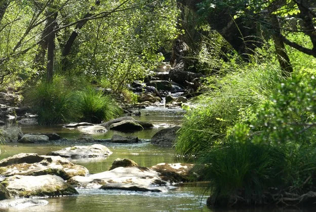 Randonnée TOURVES - Les gorges du Caramy · Tourves