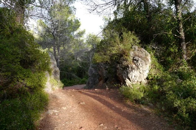 Randonnée LA CELLE - Chemin d'Engardin · La Celle